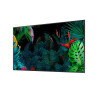 Écran d'affichage 65" LH65QMCEBGCXEN SAMSUNG