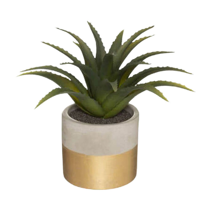 Plante pot cim bico dore h28
