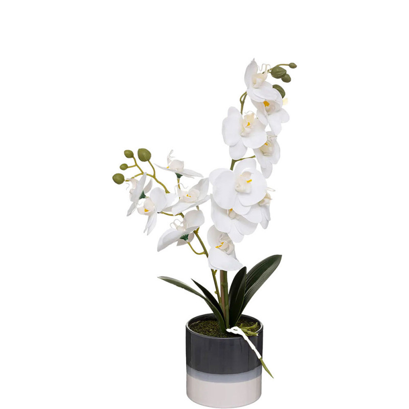 atmosphera Plantes artificielle ORCHIDEE 185471