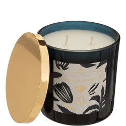 atmosphera Bougie parfumée 400g "PLUM" FEVE TONKA 196074B