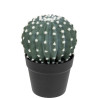 atmosphera Plantes artificielle CACTUS 198119