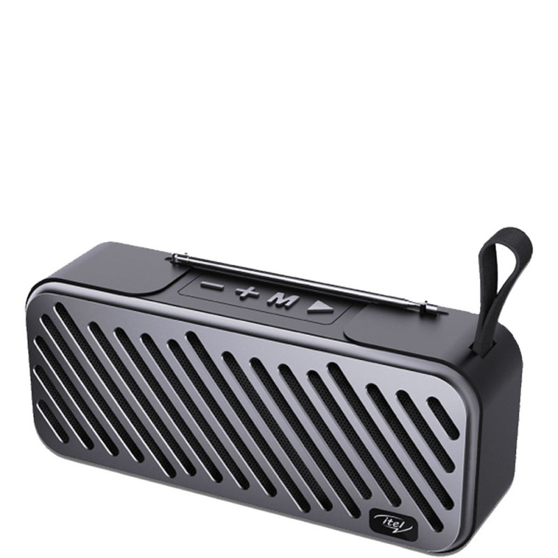 ITEL Speaker IBS-31
