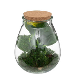 atmosphera Plantes artificielle TERRARIUM 193706
