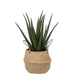 atmosphera Plantes artificielle ALOE VERA 189119