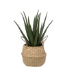 atmosphera Plantes artificielle ALOE VERA 189119