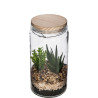 atmosphera Plantes artificielle TERRARIUM 16001