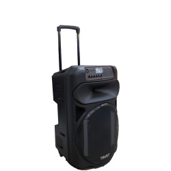 TRUST Speaker TROLLEY 15'' 80W TTS-15D