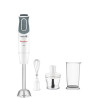 Mixeur plongeant 3en1 800W DD642110
