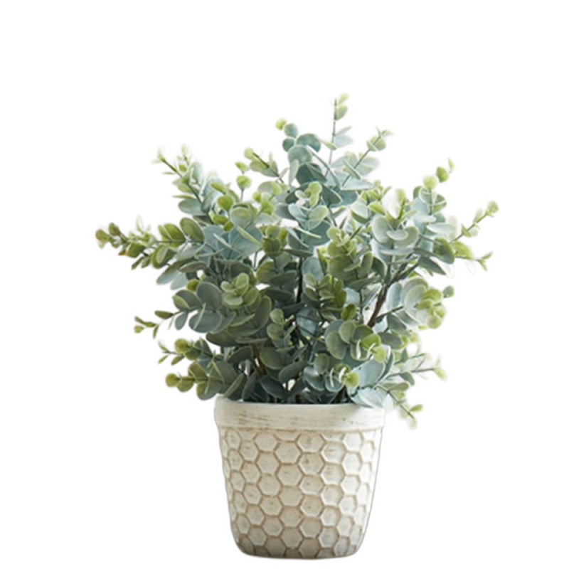 atmosphera Plante grasse en pot 145000