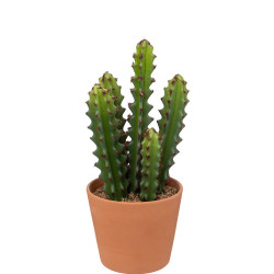 atmosphera Plantes artificielle CACTUS 189122