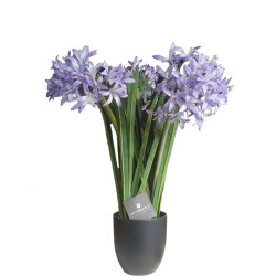 Plante artificielle "AGAPANTHE" 179311