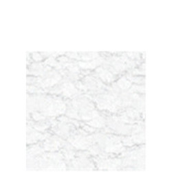 CERA T311228NA – Carrelage sol 600x600mm robuste et élégant
