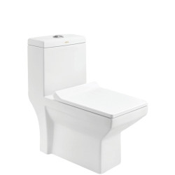 Toilette monobloc CERA CONA – Élégance et confort au quotidien