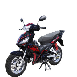 Shodan Moto routière semi-automatique 110CC SH110-F8X