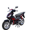 Shodan Moto routière semi-automatique 110CC SH110-F8X
