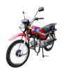 Shodan Moto routière 110CC SH110-5X
