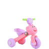 Tricycles pour enfant TCY-A301