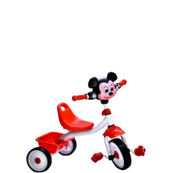 Tricycles pour enfant TCY-D301