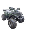 "TAO MOTOR Quad ATA 125 120CC "