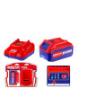Kit de batterie et chargeur  ELBCPK1012