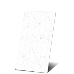 CERA T816279HB – Carrelage mural 300x600mm décoratif et résistant