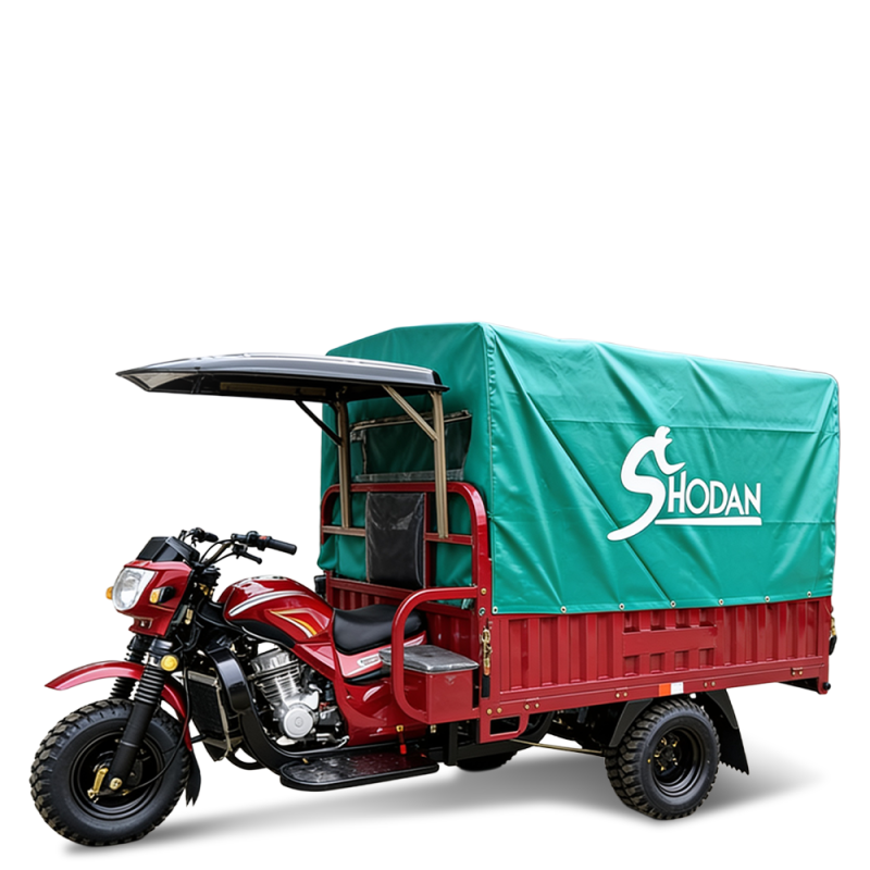 Tricycle 250 cc SH250-G3T