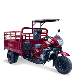 Tricycle 250 cc SH-250GZH