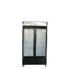 Vitrine réfrigérante R290 avec LED latérale et centrale 605L (2 PORTES) TSDC-605W
