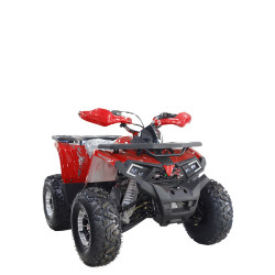 TAO QUAD ATV SHARK 125 II ROUGE SHARK II 125 ATV