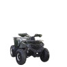 TAO QUAD ATV SHARK 125 II VERT SHARK II 125 ATV