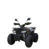 TAO QUAD ATV HUNTER 125 II VERT HUNTER II 125 ATV