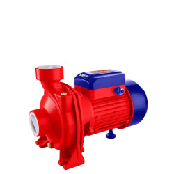 Pompe périphérique EWPPM22001